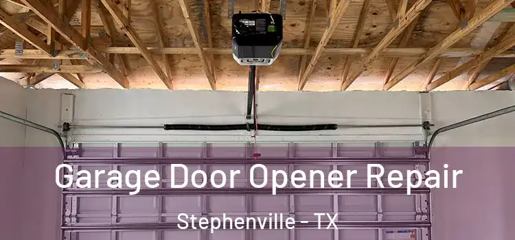  Garage Door Opener Repair Stephenville - TX
