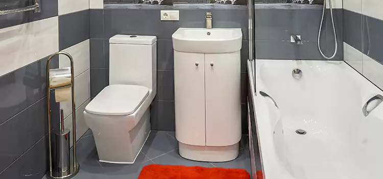 Hansgrohe Shaving Mirror Stephenville